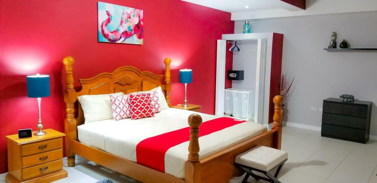 New Kingston Guest Apartments @ Donhead Екстериор снимка
