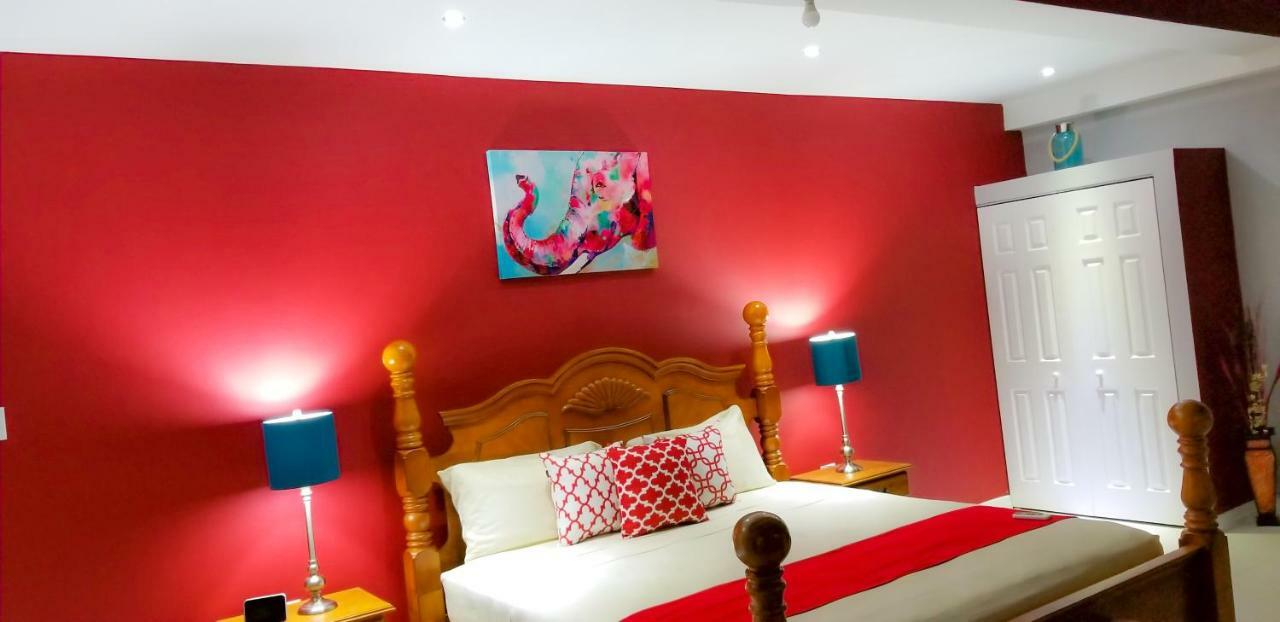 New Kingston Guest Apartments @ Donhead Екстериор снимка